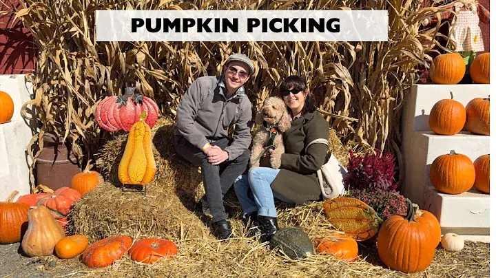 Pumpkin Picking